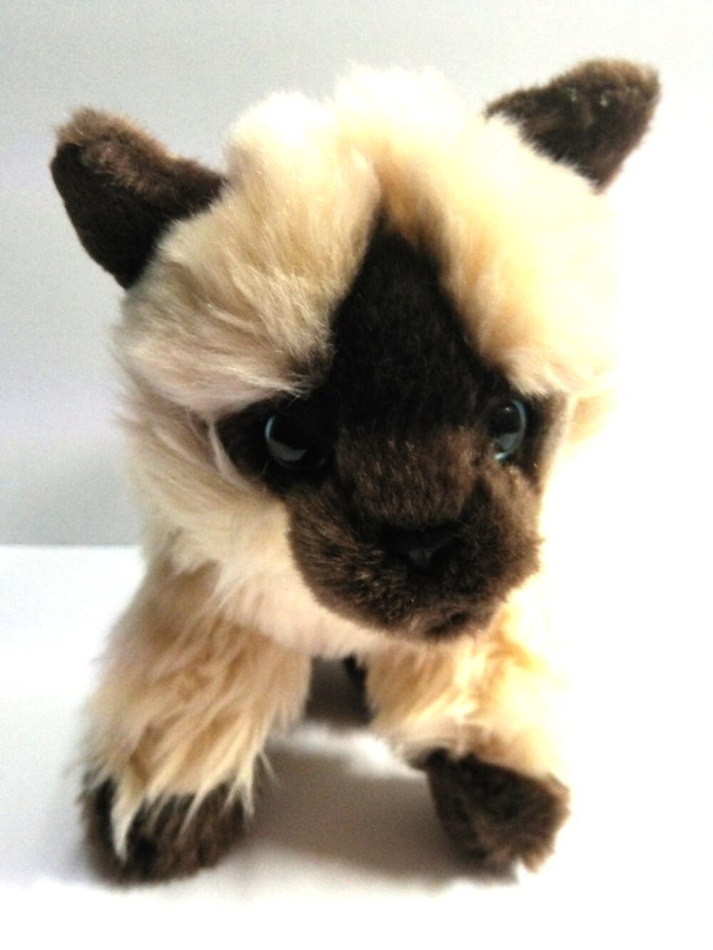 Toys R Us Siamese/Himalayan Cat / Kitten Cream Fur 7" High Dated 2012 Retired Re
